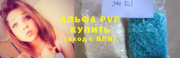 стаф Бородино