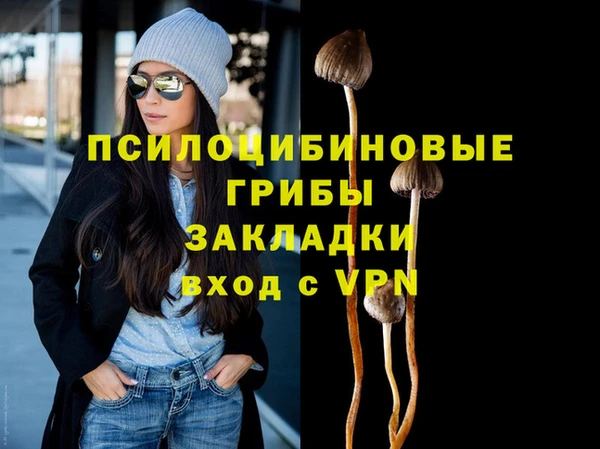 бошки Богородицк