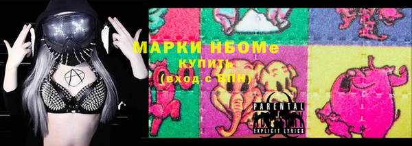 стаф Бородино
