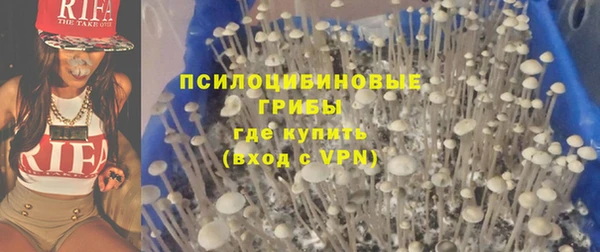 молекула духа Бугульма
